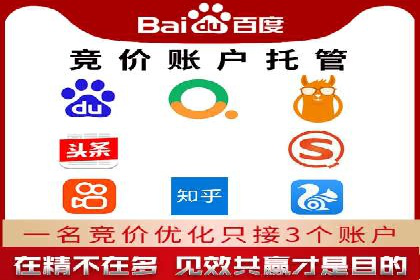 行业翘楚的sem代运营机构：成功案例解析